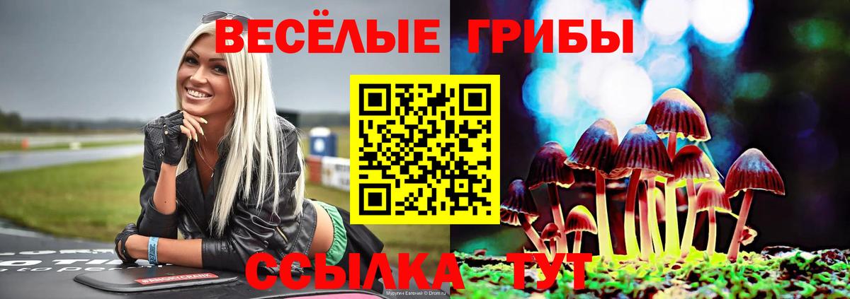Галлюциногенные грибы Magic Shrooms  Вход с VPN  Петрозаводск 